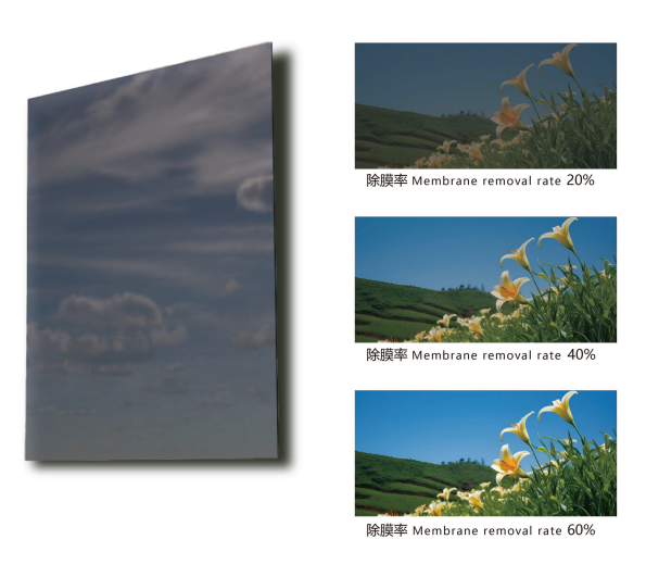 240a2c99-f36e-4d78-a827-2b6f36e6ed54