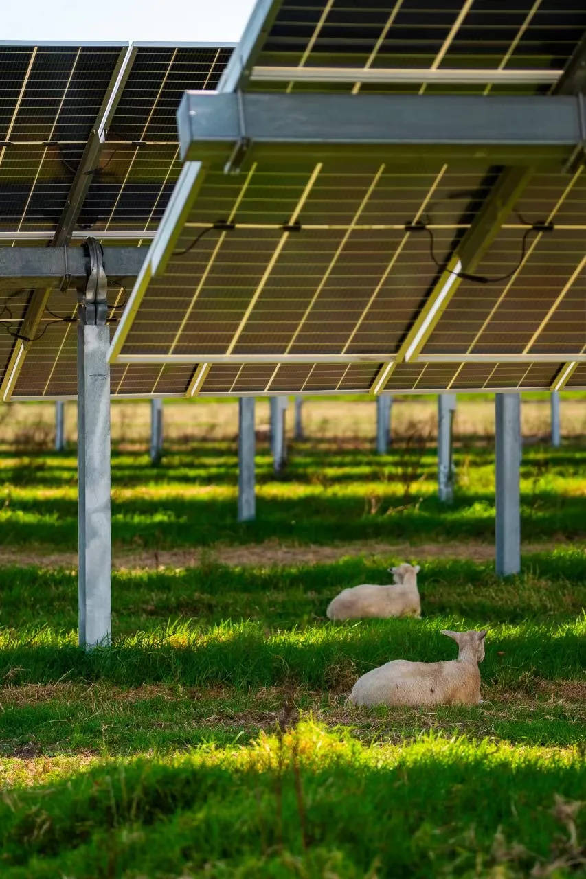 Solar Agricultural System